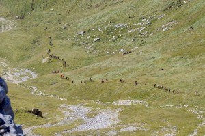 LATEMAR VERTICAL KM 2016 (PH ELVIS) 28902